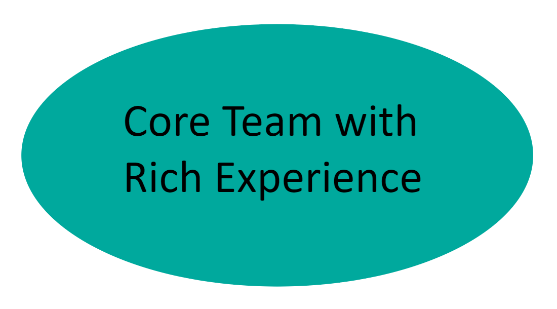 Core Team with Rich Experience