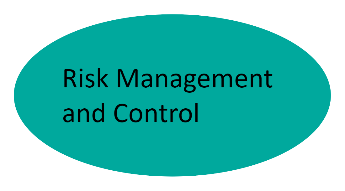 Risk Management and Control, E