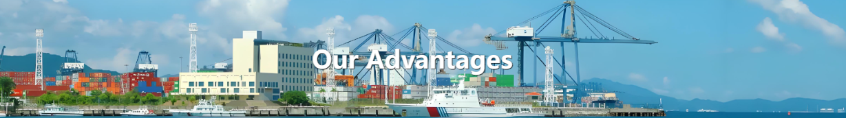 Our Advantages