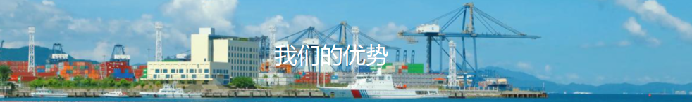 我们的优势