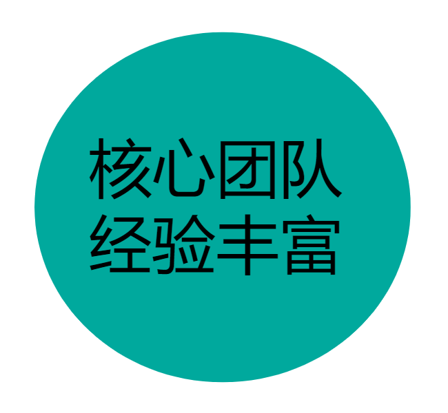 核心团队，经验丰富